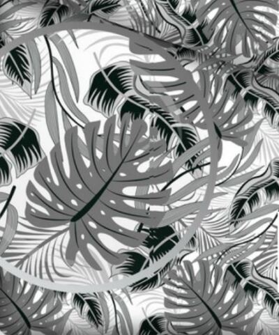 Monstera_Szaro_Czarna